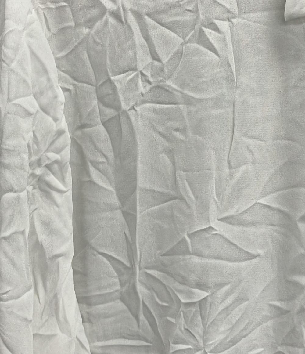 美品 長袖シャツ レディース SIZE 44 (L) Cala G.