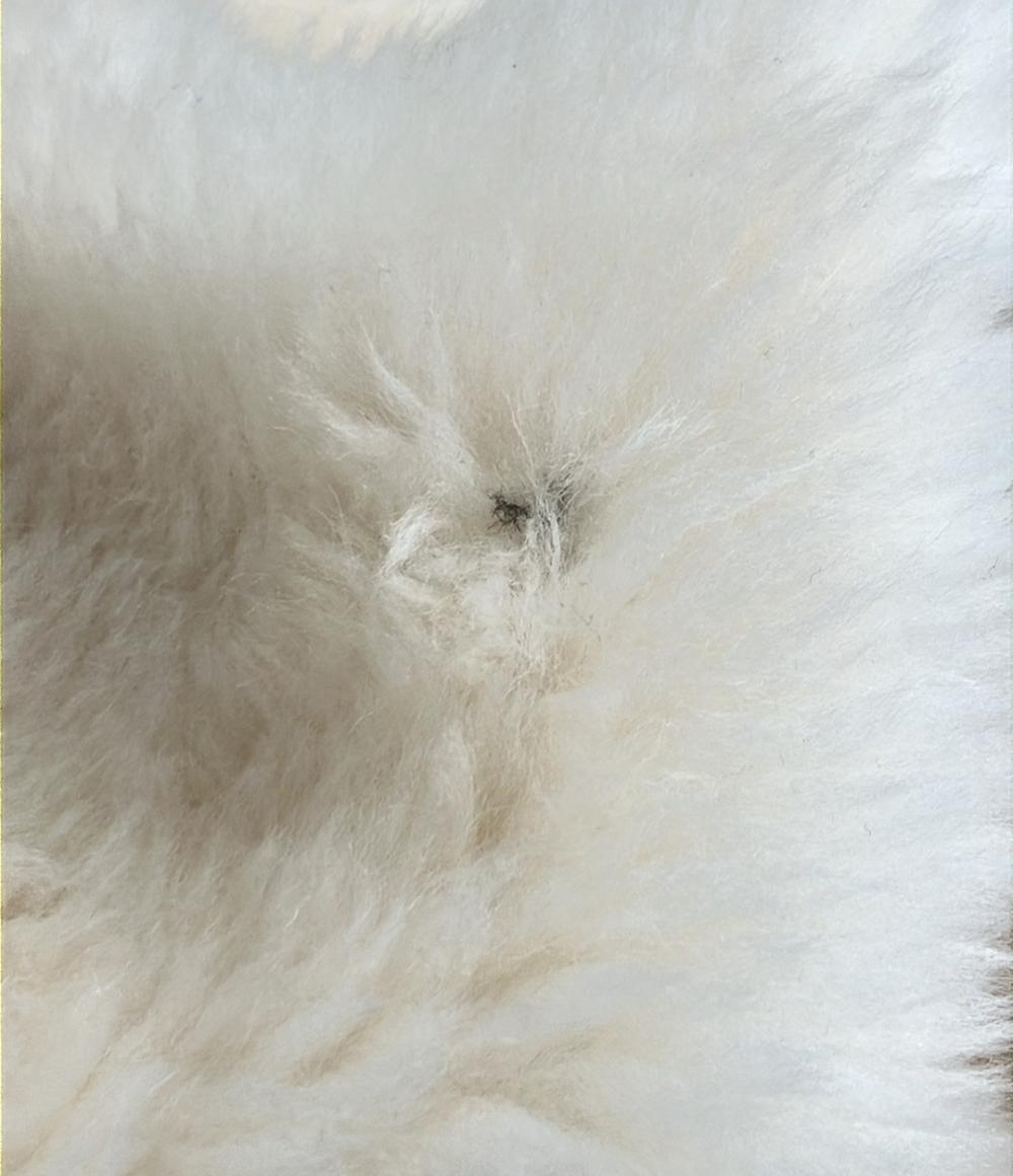 GRACE Class ファーコート フェイクファー レディース レディース SIZE 36 (S) グレースクラス