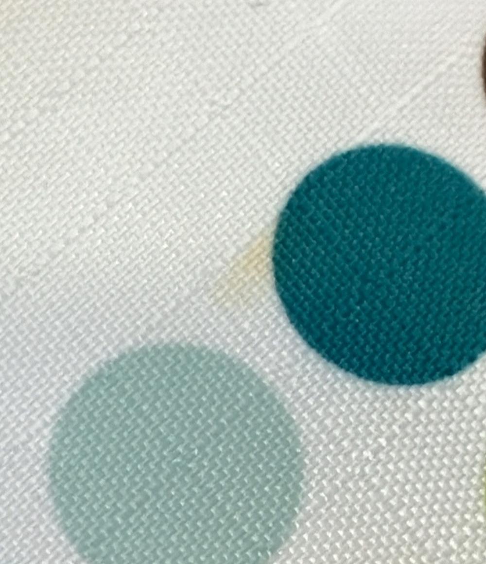 LeSportsac ショルダーバッグ 斜め掛け レディース レスポートサック