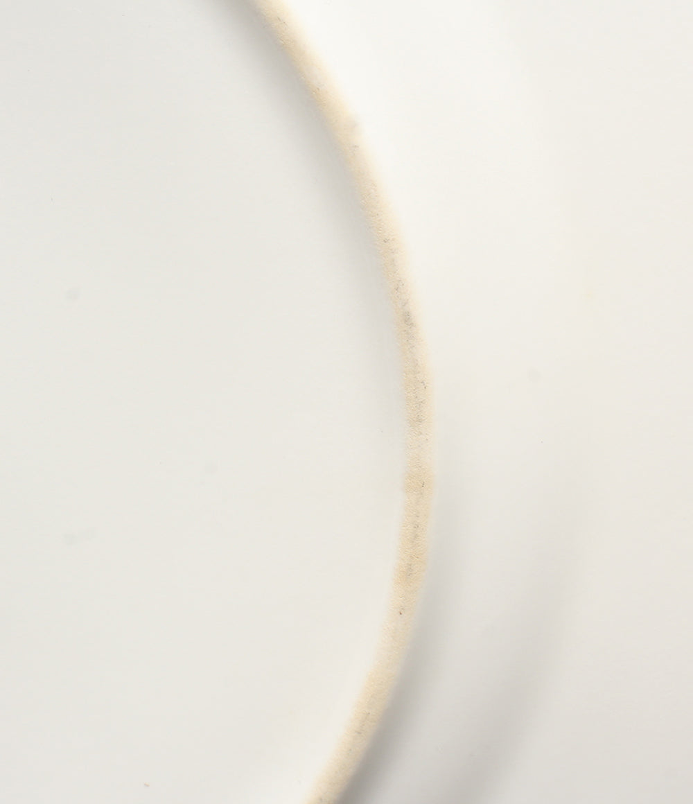 WEDGWOOD プレート 皿 2点セット 21cm ワイルドストロベリー アクセント ウェッジウッド