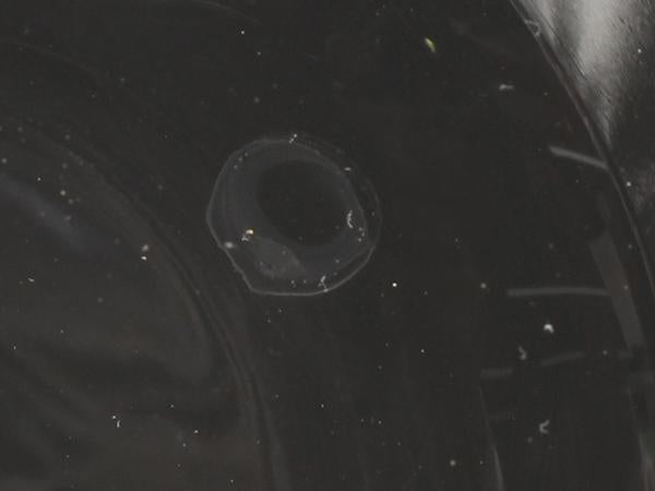 TIFFANY&Co. グラス タンブラー 2点セット ペア TCO ティファニー