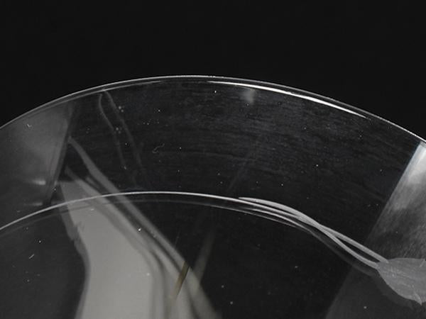 WEDGWOOD ワイングラス 2点セット ペア ワイルドストロベリー クリスタル オープン ウエッジウッド