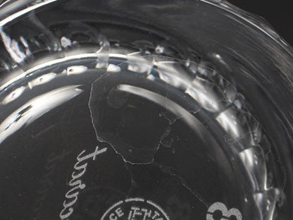 Baccarat イヤータンブラー グラス 2点セット ペア 2018 フィオラ バカラ