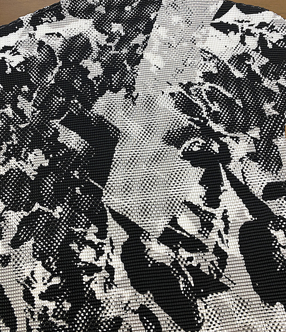 美品 ISSEY MIYAKE 半袖Ｔシャツ グラフィックプリントストレッチプリーツTシャツ MI81FK515 レディース SIZE - イッセイミヤケ