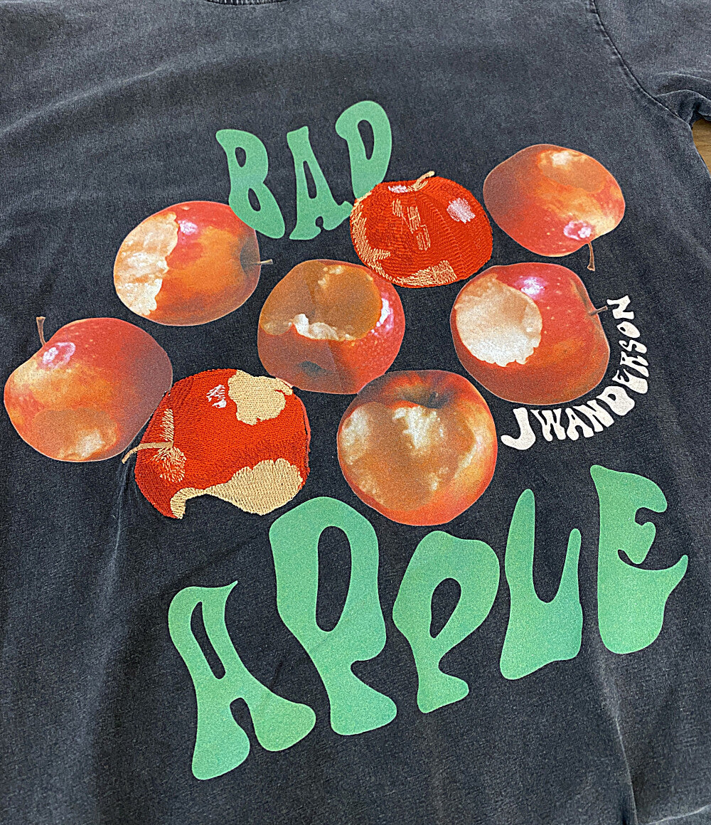 美品 JW Anderson 半袖Ｔシャツ BAD APPLE JT0141PG1238599 メンズ SIZE XXS ジェイダブリューアンダーソン