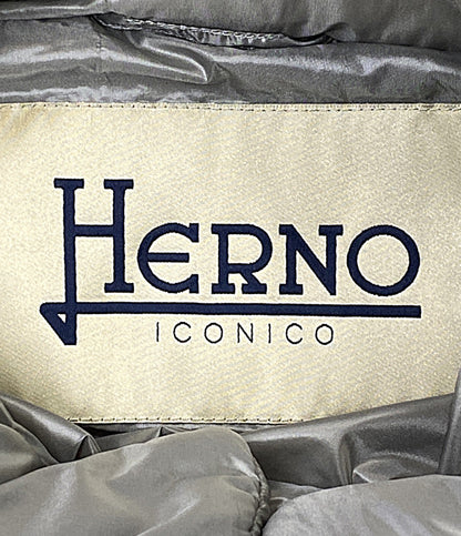 HERNO ダウンジャケット ICONICO AMINTA 46769-41171-6 レディース SIZE 42 ヘルノ