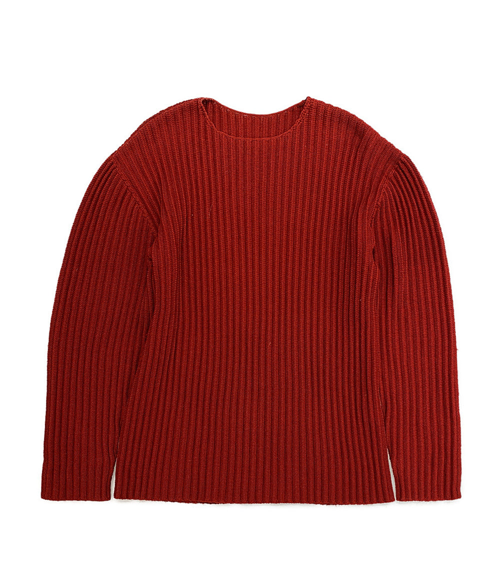 イッセイミヤケオムプリッセ プリーツニット レッド メンズ SIZE - ISSEY MIYAKE HOMME PLISSE