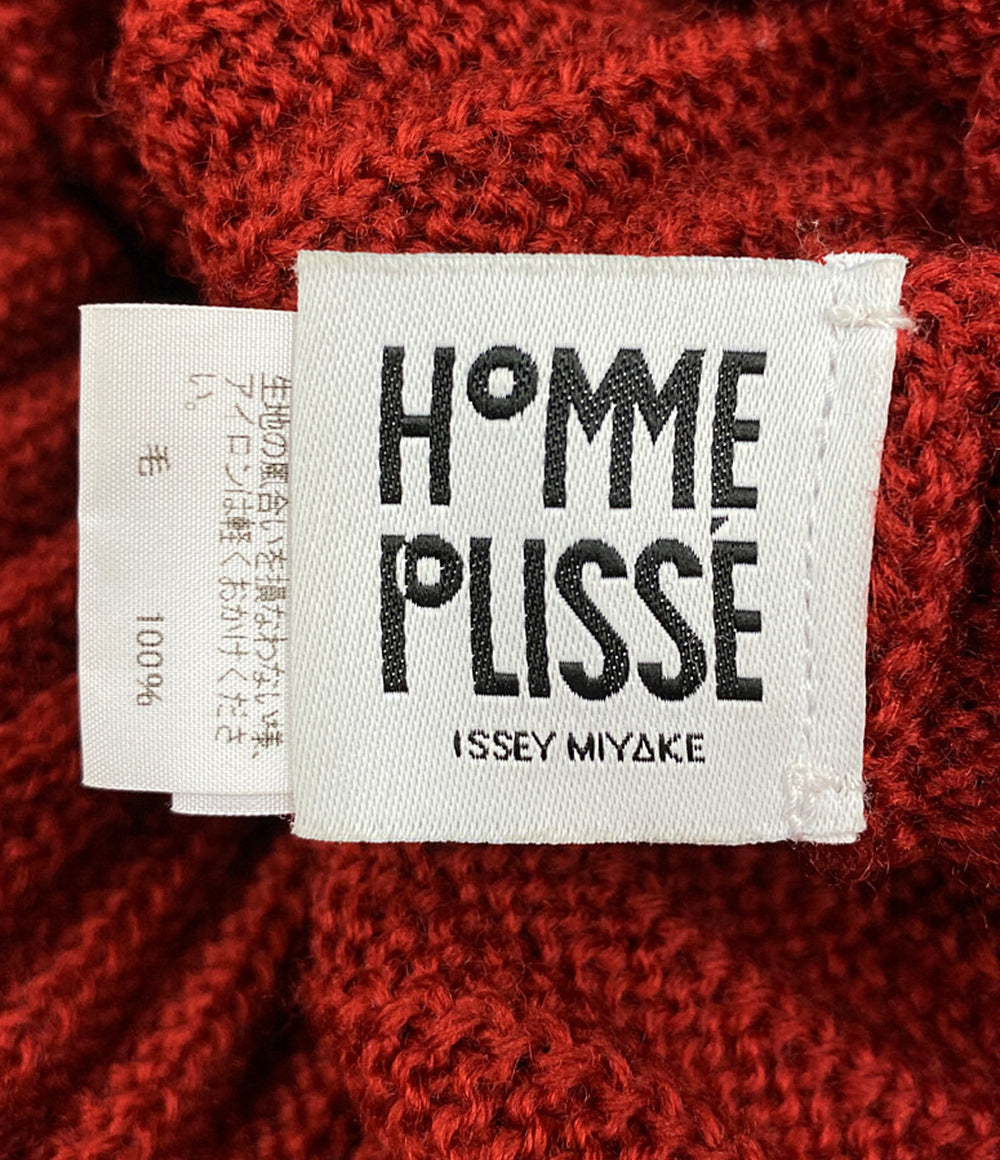 イッセイミヤケオムプリッセ プリーツニット レッド メンズ SIZE - ISSEY MIYAKE HOMME PLISSE
