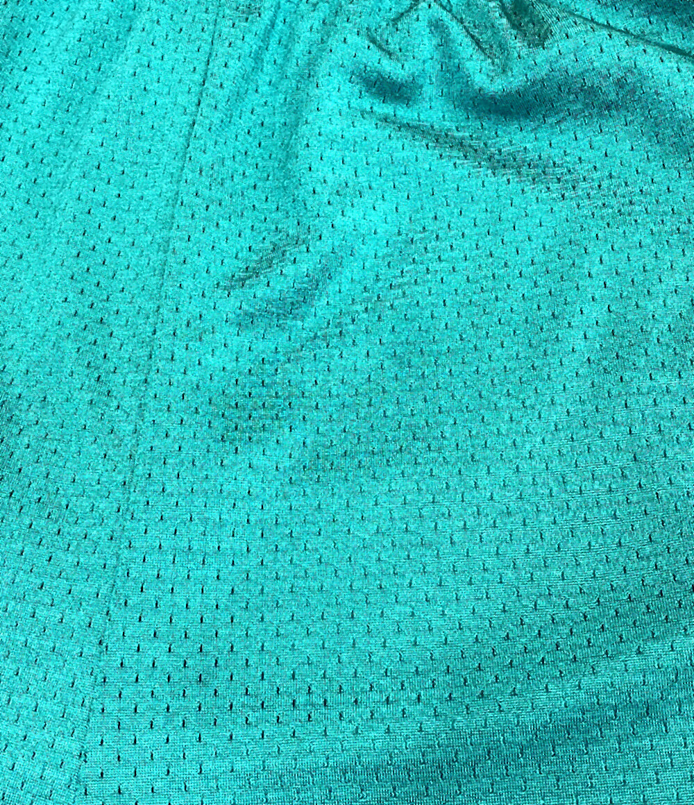 Supreme Champion チャンピオン ショートパンツ 24SS Mesh Short メンズ SIZE L シュプリーム