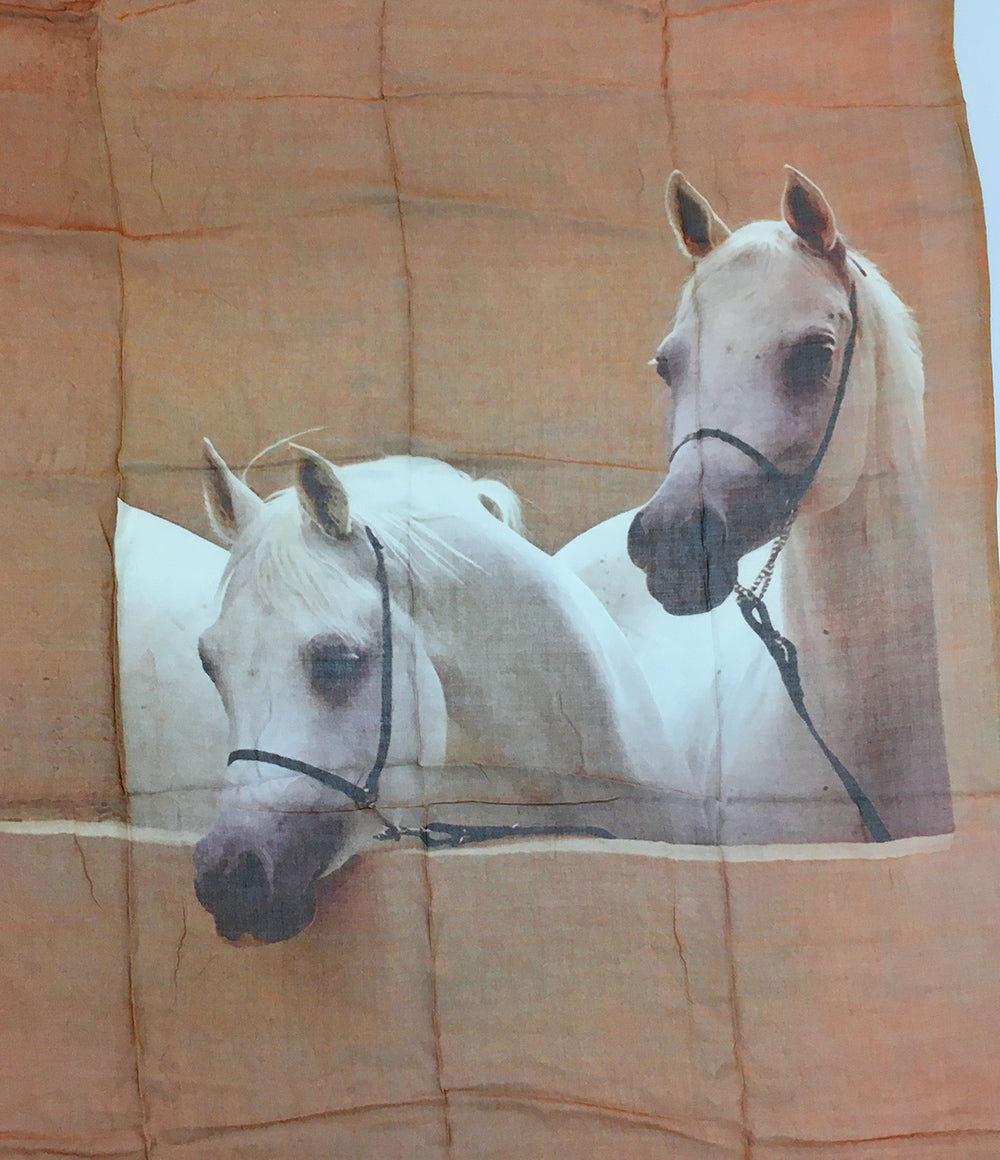 美品 ear PAPILLONNER イアパピヨネ 総柄ストール EAZ1041516D0001 レディース