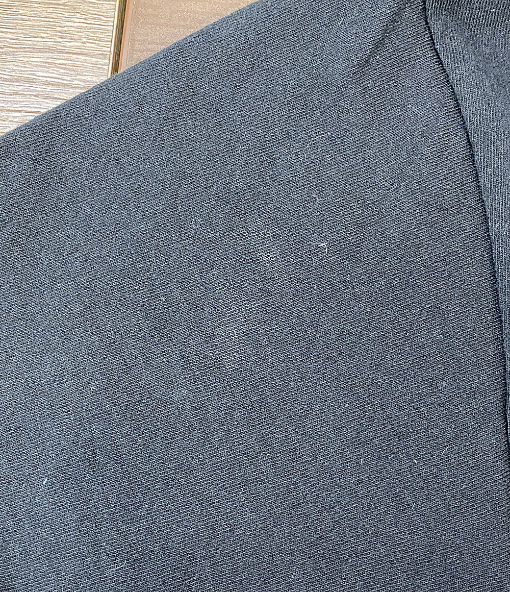 ヒステリックグラマー 半袖Ｔシャツ HYSTERIC PETWtORLD TEE 25SS 02251CT10 メンズ SIZE L HYSTERIC GLAMOUR