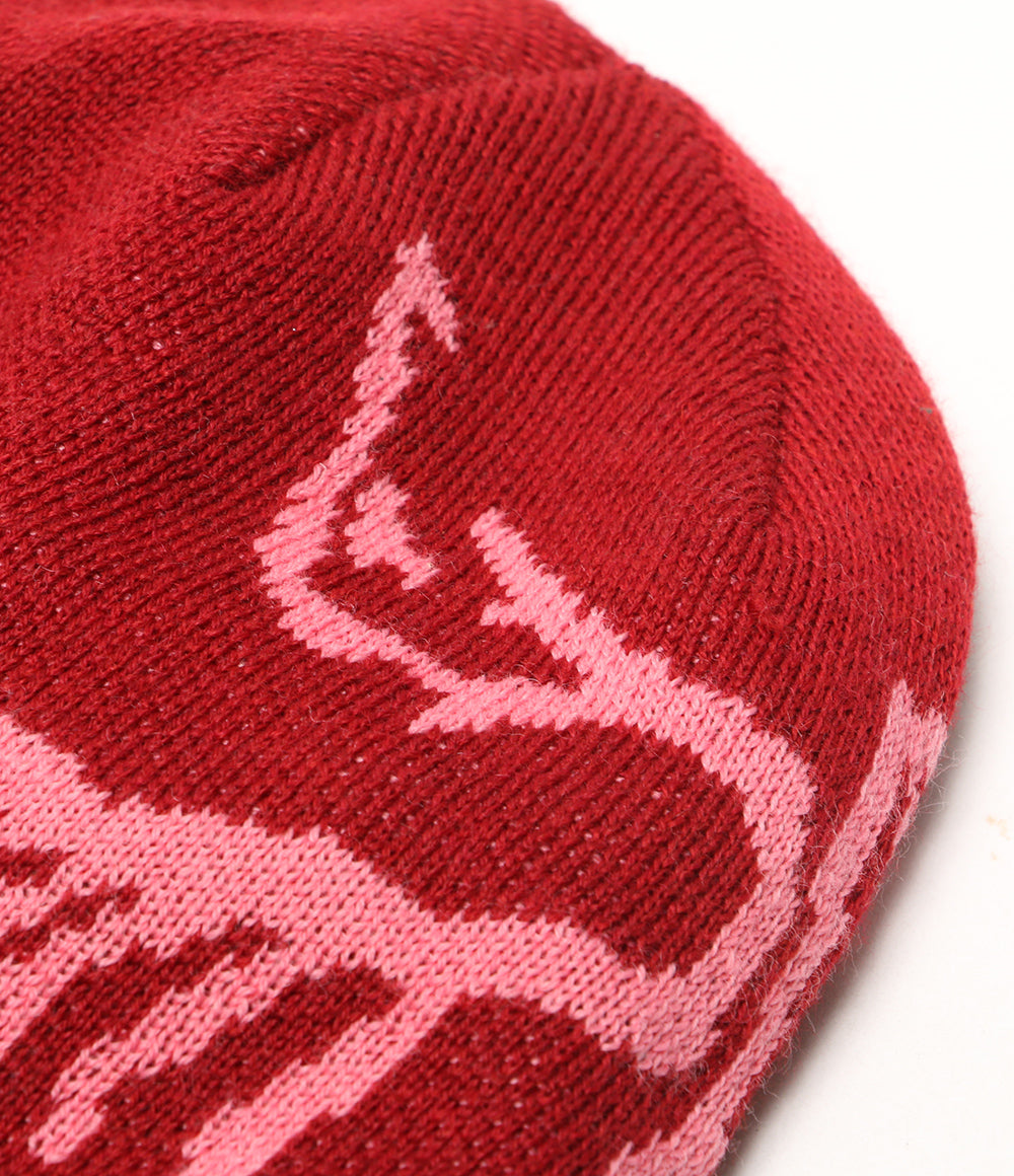 ARC’TERYX ニット バードヘットトークビーニー レディース SIZE 58cm アークテリクス