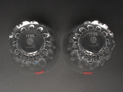 Baccarat イヤータンブラー グラス 2点セット ペア 2011 エトナ バカラ