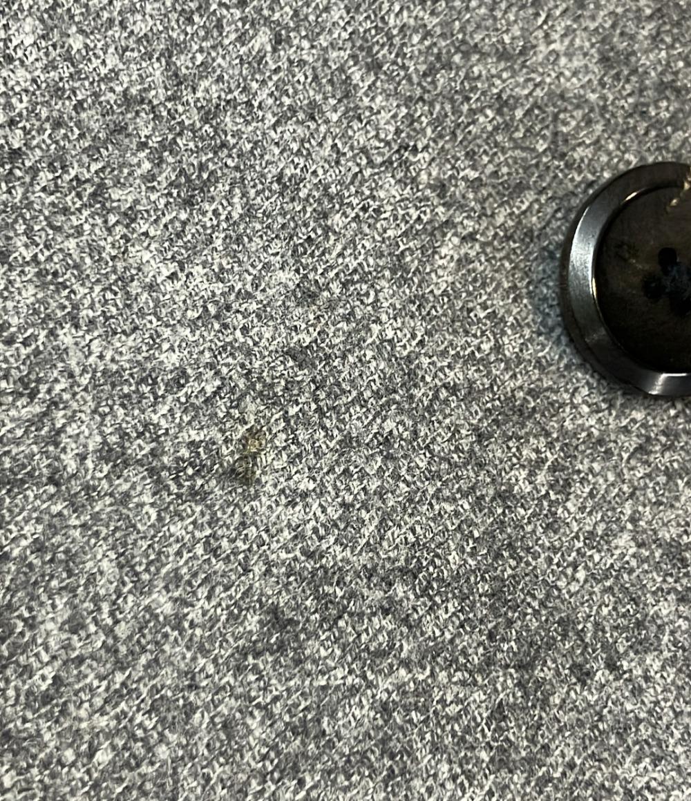 TARO HORIUCHI テーラードコート メンズ SIZE 44 (XL) タロウ ホリウチ