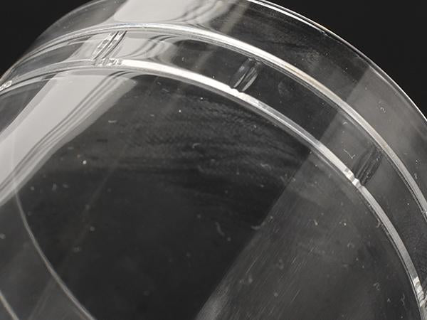 ティファニー ビアグラス ワイン シャンパン 2点セット ペア アトラス ピルスナー TIFFANY&Co.