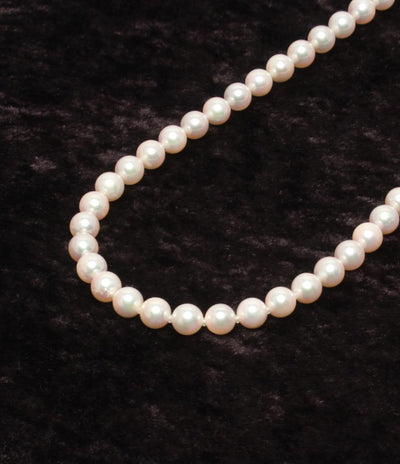 ネックレス SV パール 6.5－7.0mm レディース