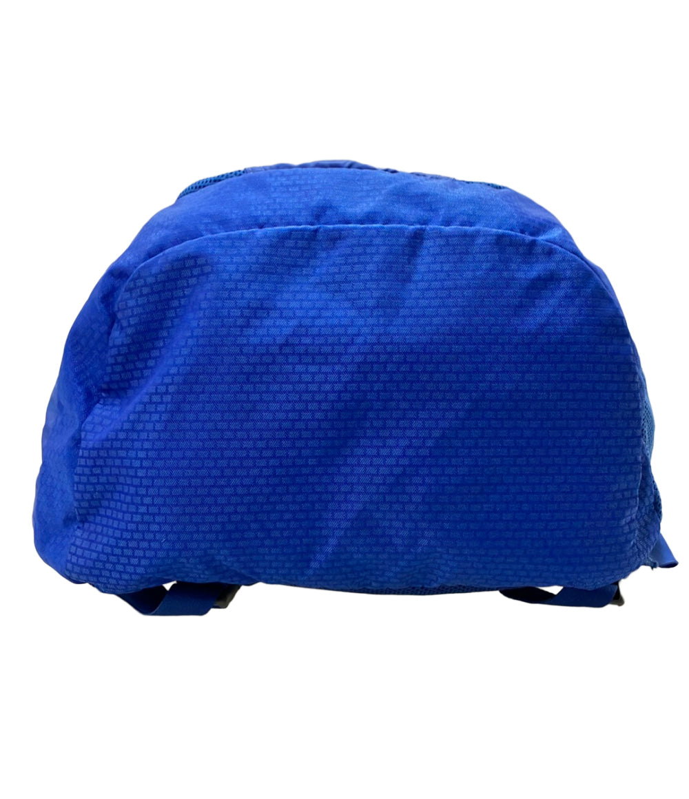 THE NORTH FACE リュック デイパック フライウェイトリーコン FLYWEIGHT RECON NM81409 メンズ レディース ザ・ノース・フェイス