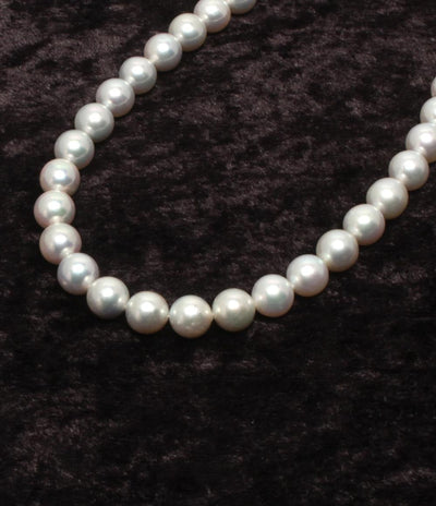 ネックレス SV パール 8.0-8.5mm レディース