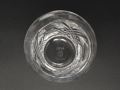美品 Baccarat イヤータンブラー グラス 2014 ステラ バカラ