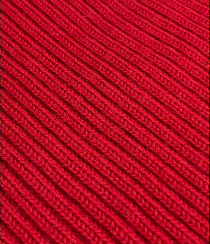 美品 エンポリオ・アルマーニ ハイネックニット レディース SIZE 48 (XL) Emporio Armani