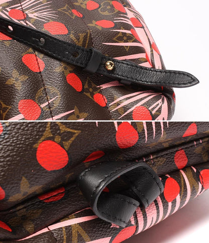 LOUIS VUITTON リュック バックパック パームスプリングスPM モノグラム ジャングルドット M41981 ルイ・ヴィトン