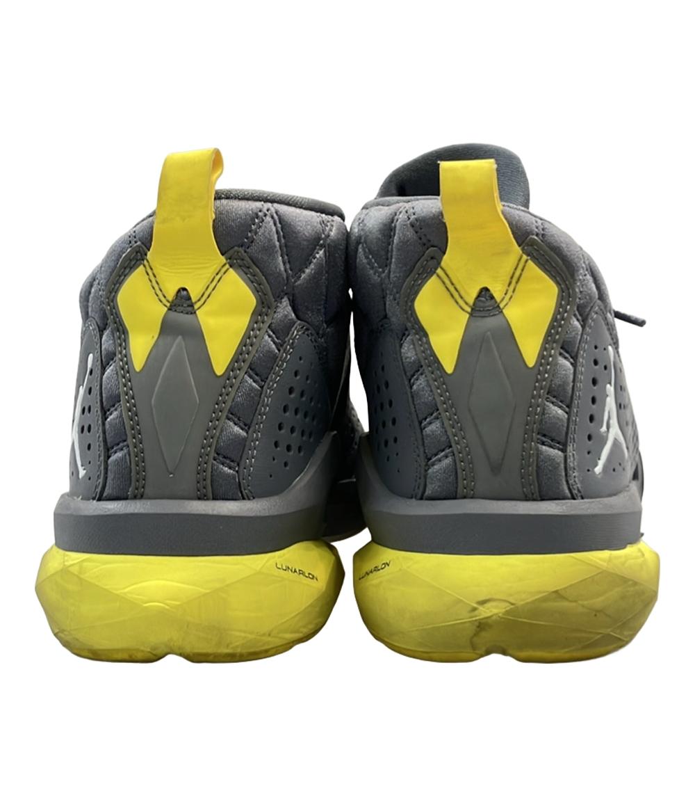 NIKE バスケットボールシューズ 682867-070 メンズ SIZE 28.5 (XL) ナイキ