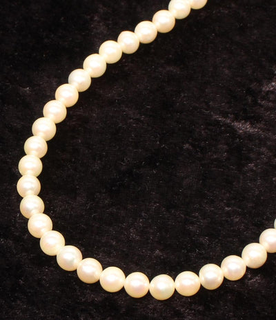 美品 ネックレス SV パール6.0-6.5mm レディース