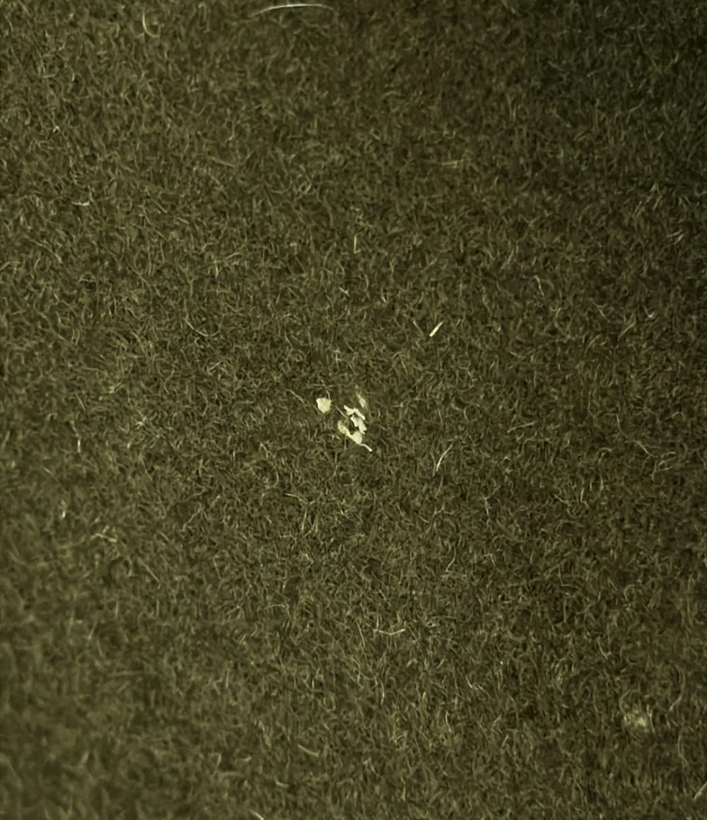 ALEXANDER LEE CHANG サカサマPコート メンズ SIZE 2 アレキサンダーリーチャン