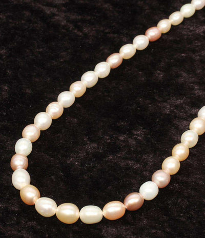 美品 ネックレス SILVER オーバルパール5.5-8.0mm レディース