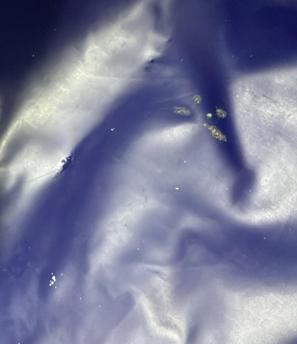 訳あり ロンシャン ハンドバッグ トートバッグ ル プリアージュ レディース Longchamp