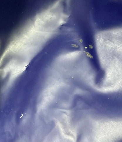 訳あり ロンシャン ハンドバッグ トートバッグ ル プリアージュ レディース Longchamp