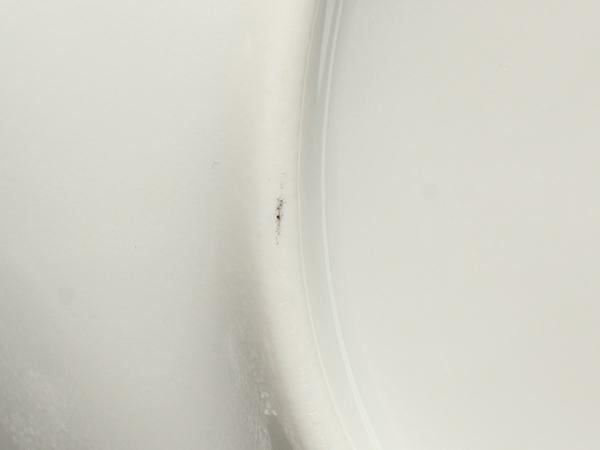 リチャードジノリ バースデープレート 皿 2点セット 21cm ピノキオ 2歳 Richard Ginori