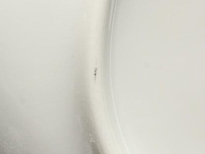 リチャードジノリ バースデープレート 皿 2点セット 21cm ピノキオ 2歳 Richard Ginori