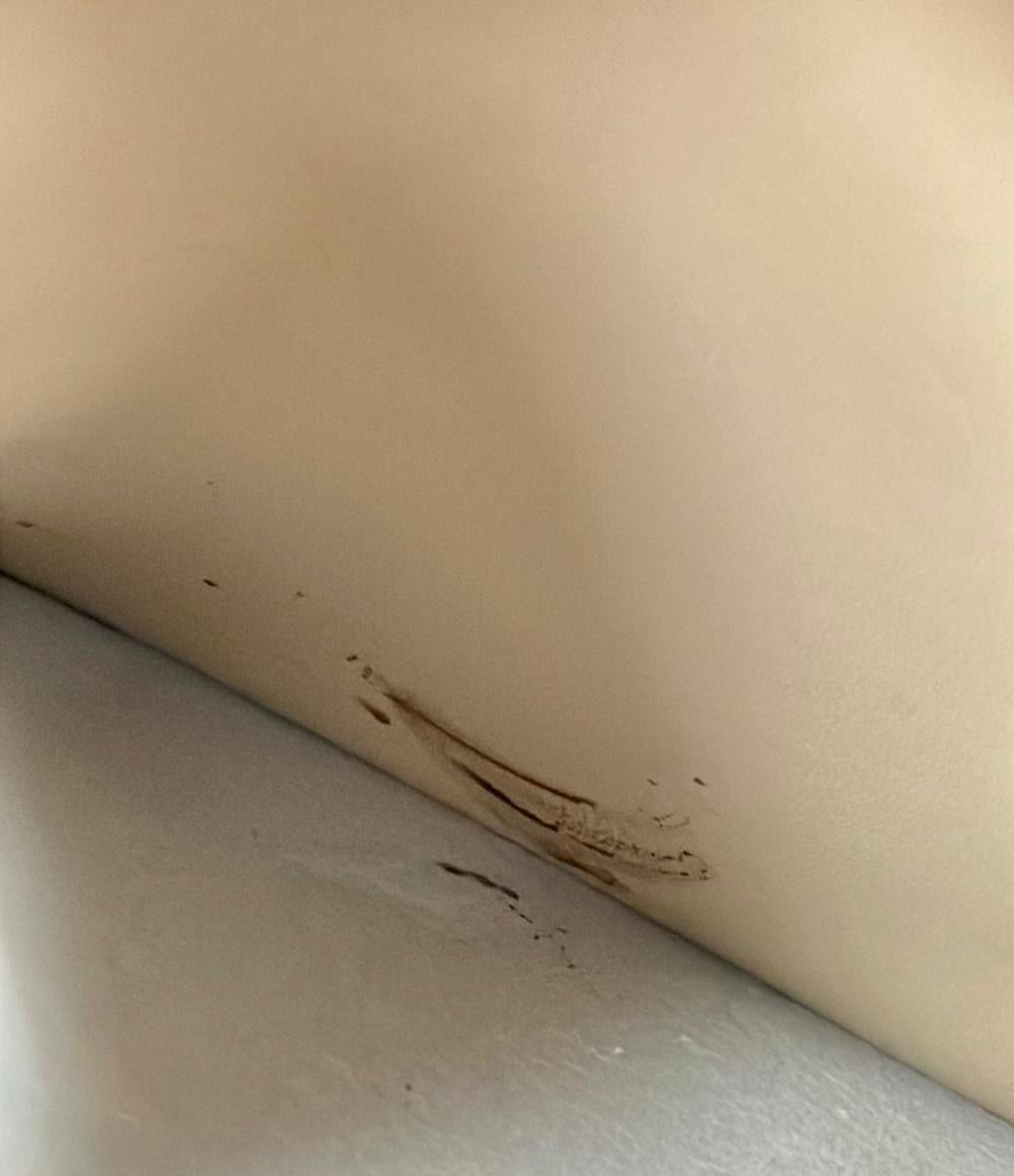 シップス 2WAY ハンドバッグ ショルダーバッグ 斜め掛け レディース SHIPS