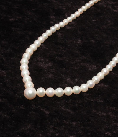 ネックレス SV パール 3.5－8.0mm グラデーション レディース