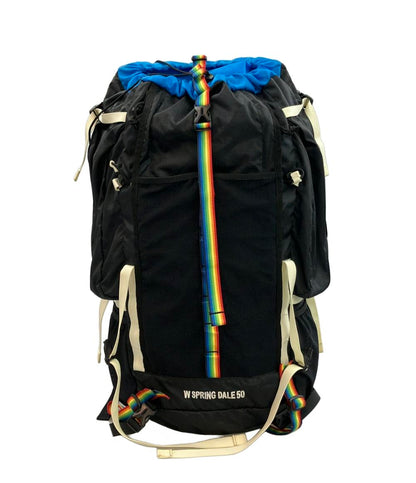 チャムス リュック バックパック W SPRING DALE 50 メンズ CHUMS