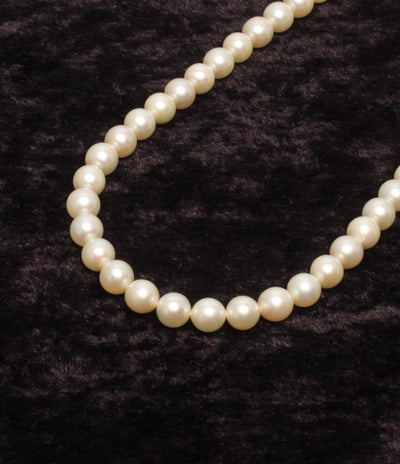 ネックレス パール 6.5－7.0mm レディース
