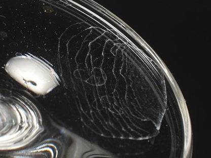 TIFFANY&Co. シャンパングラス 2点セット ペア アンパサンド ティファニー