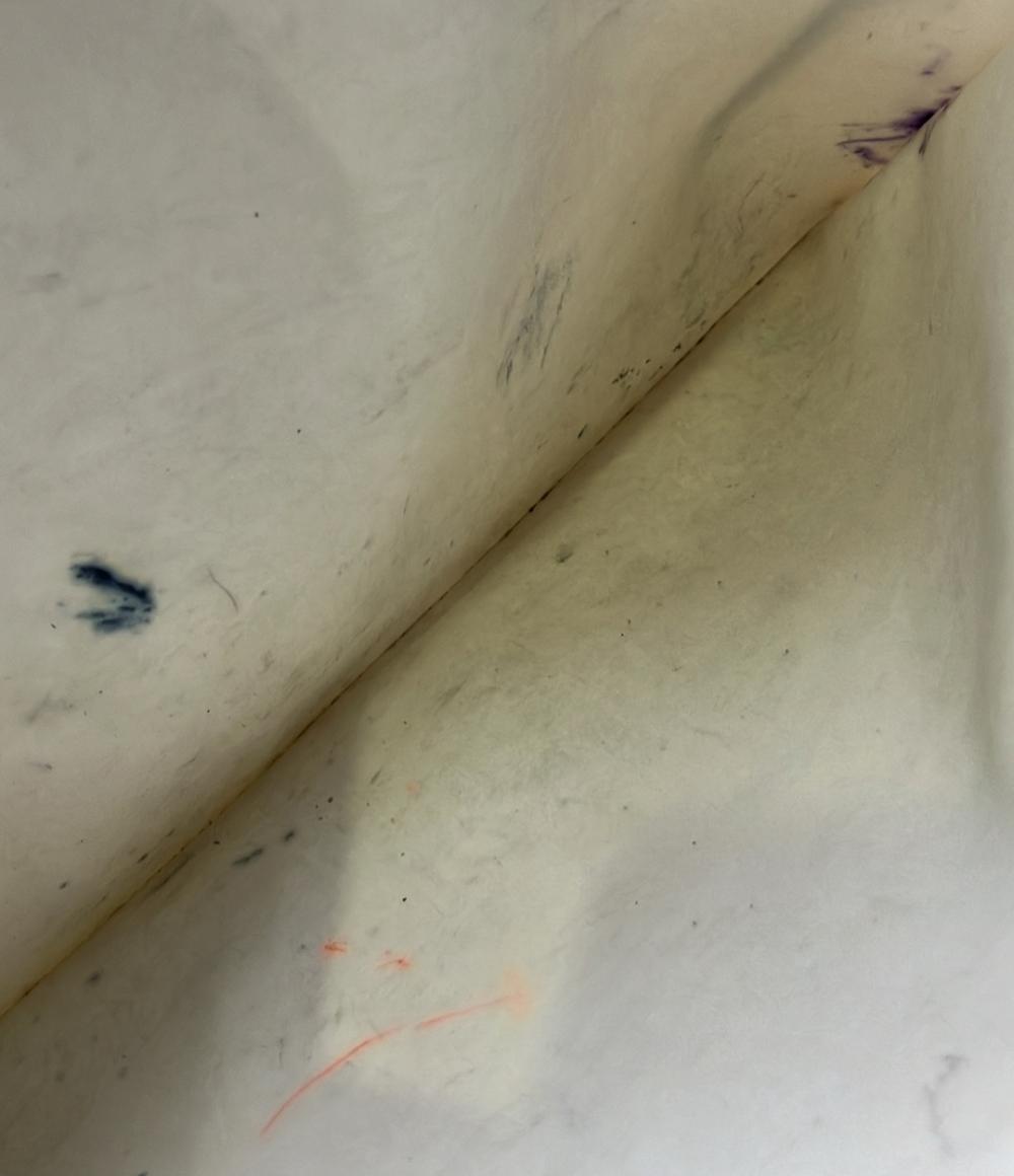 訳あり Longchamp トートバッグ ショルダーバッグ 肩掛け ル プリアージュ L1899619337 レディース ロンシャン