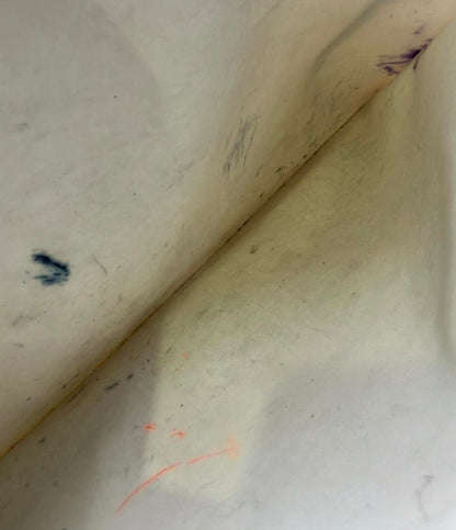 訳あり Longchamp トートバッグ ショルダーバッグ 肩掛け ル プリアージュ L1899619337 レディース ロンシャン