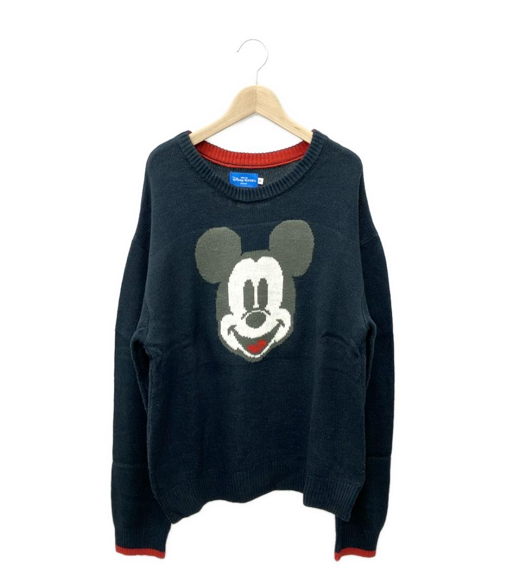 トウキョウディズニーリゾート 長袖ニット レディース SIZE M (M) TOKYO Disney RESORT