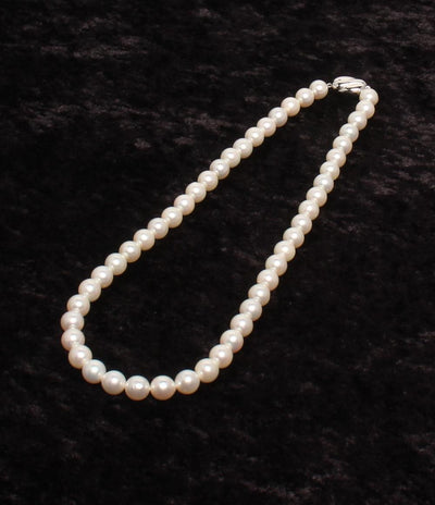 美品 ネックレス SV パール 8.0-8.5mm レディース