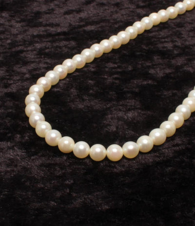 ネックレス SV パール 6.0-6.5mm レディース