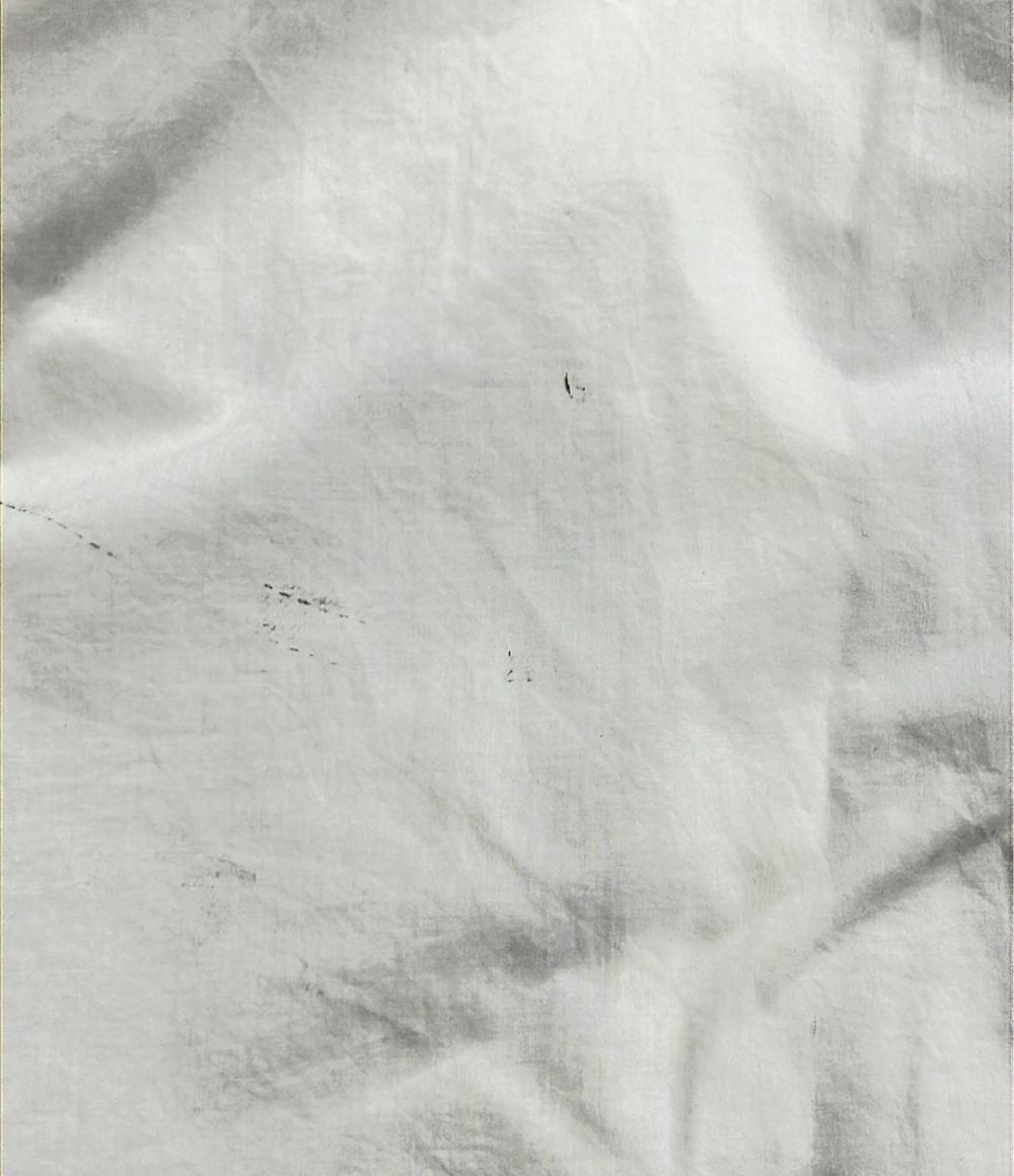 訳あり シー ニューヨーク 長袖ブラウス レディース SIZE 0 (XS) Sea New York