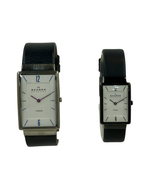 SKAGEN 腕時計 2点セット クオーツ J434LTLNV 434STLW レディース メンズ スカーゲン
