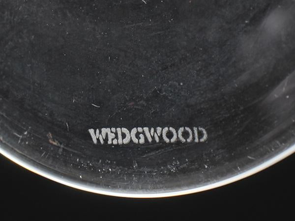 WEDGWOOD ワイングラス 2点セット ペア ワイルドストロベリー クリスタル オープン ウエッジウッド