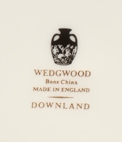 ウェッジウッド  プレート 大皿 5点セット 27cm  ダウンランド       WEDGWOOD