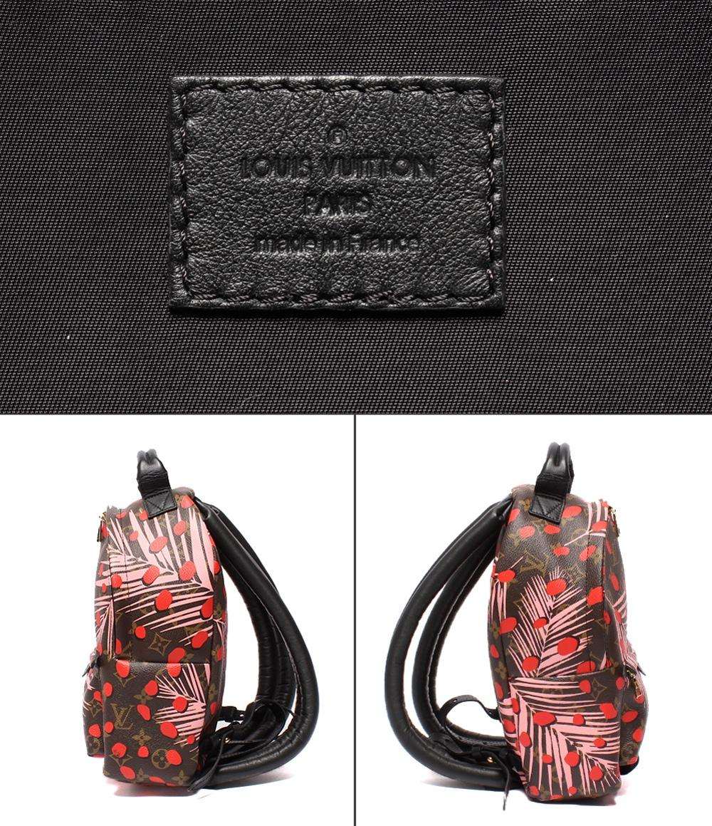 LOUIS VUITTON リュック バックパック パームスプリングスPM モノグラム ジャングルドット M41981 ルイ・ヴィトン