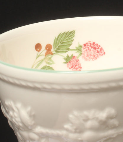 美品 WEDGWOOD プレート 皿 20cm マグカップ 4点セット フェスティビティ ラズベリー ウエッジウッド