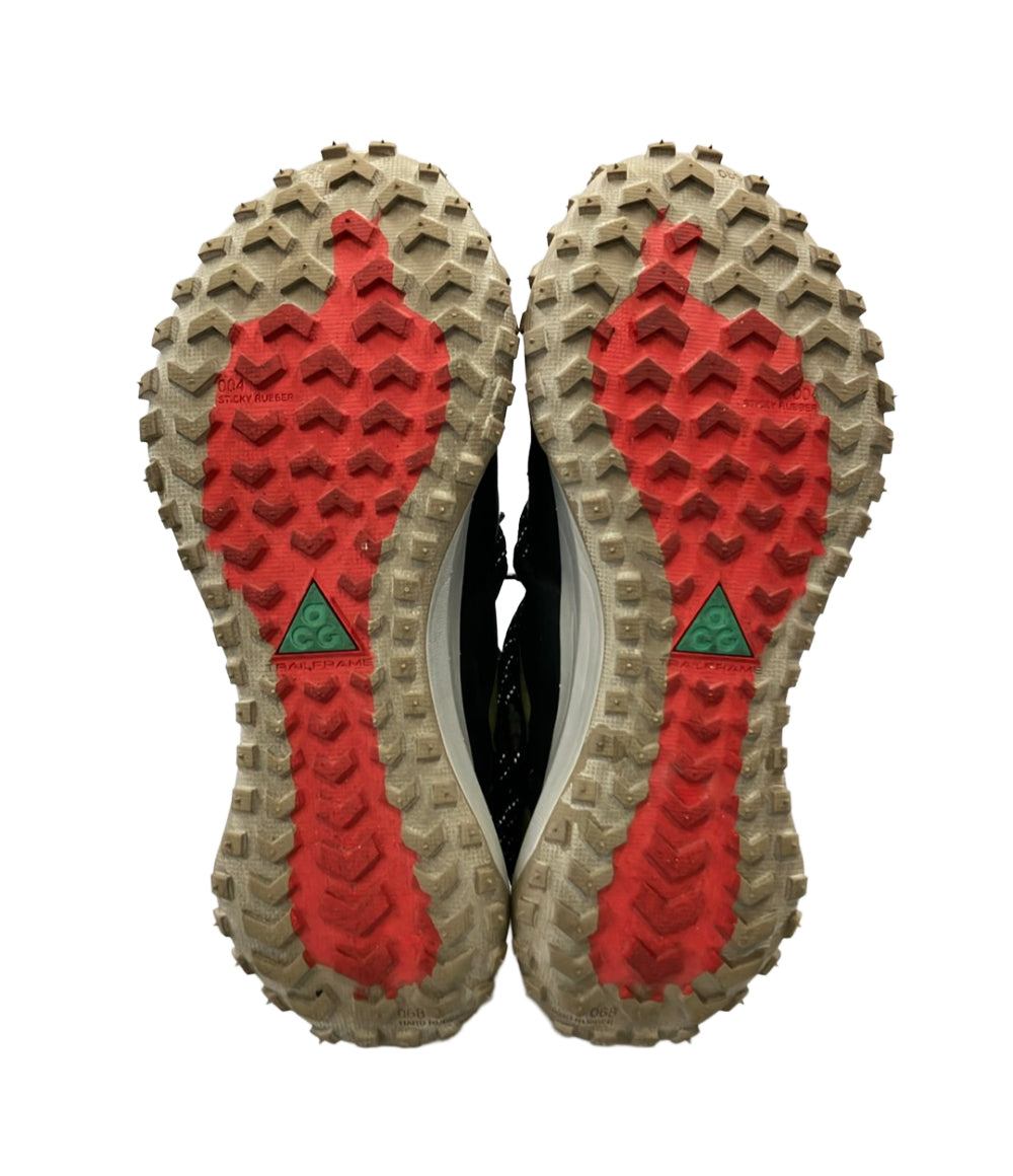 NIKE ACG ローカットスニーカー Mountain Fly Low SE DO9334-300 メンズ SIZE 28.0 ナイキ エーシージー